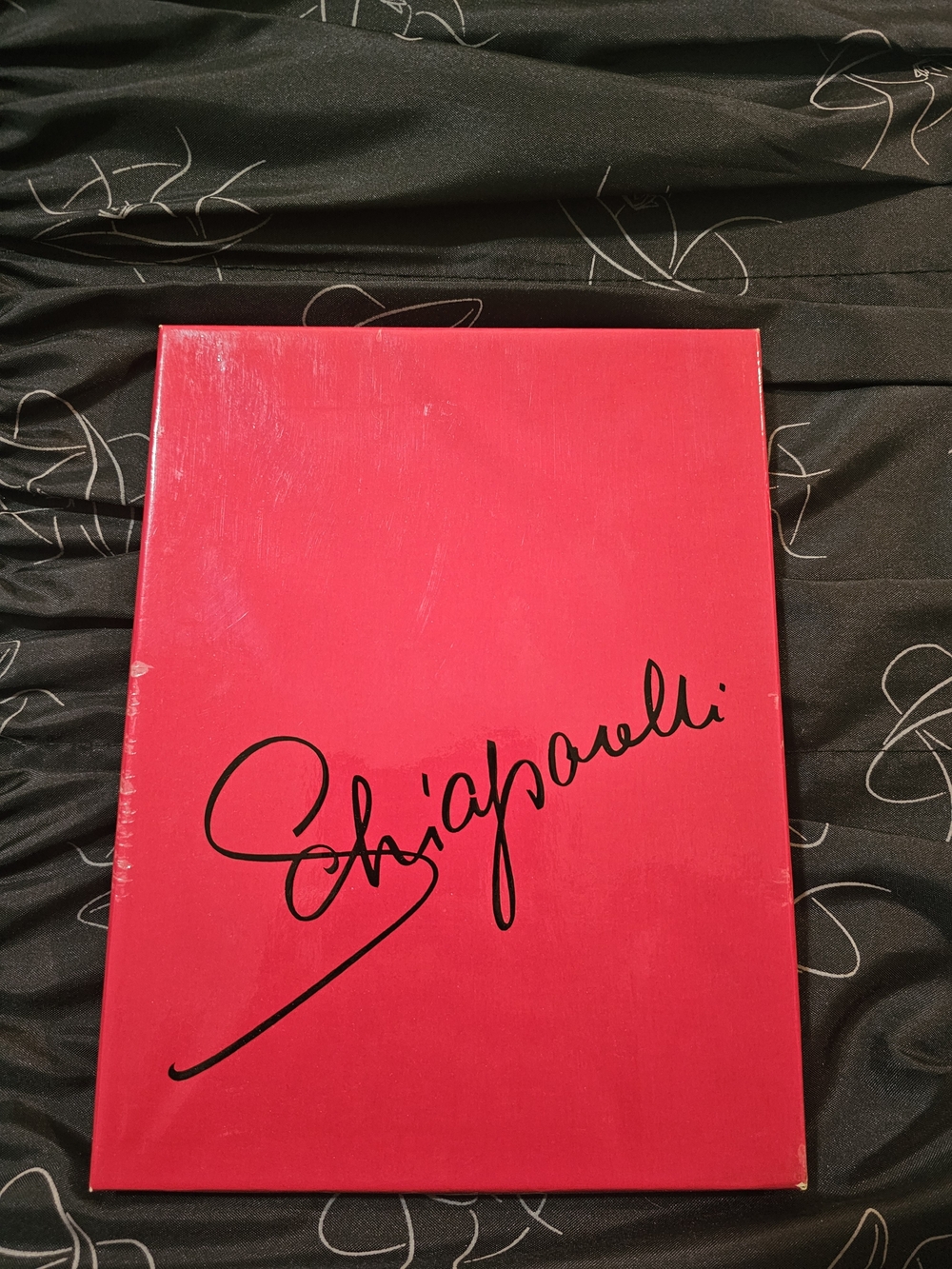 Vintage Schiaparelli Deadstock Nylon Stockings in Original Box Size 9 (2 Pair)